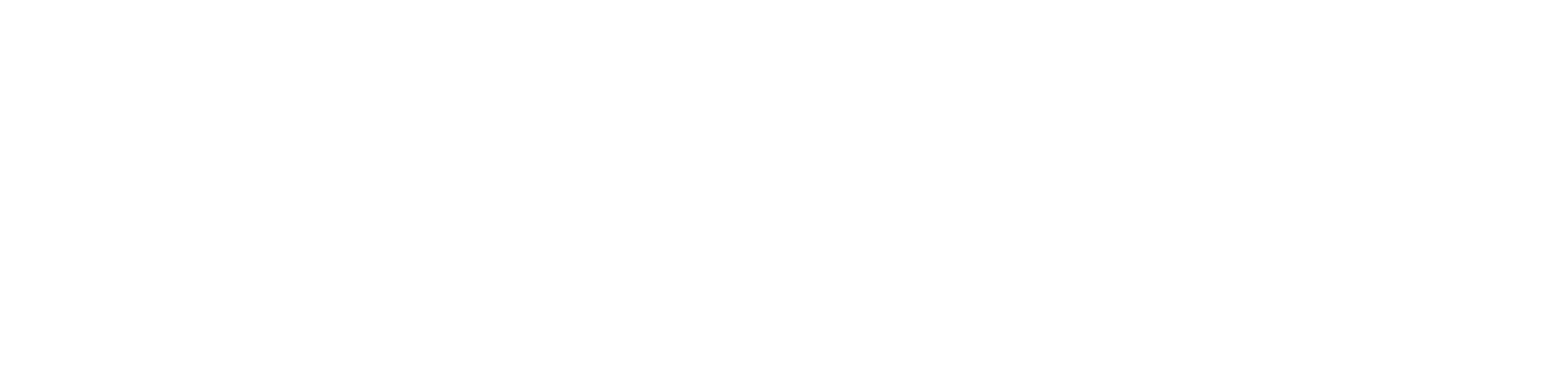 FinPluss